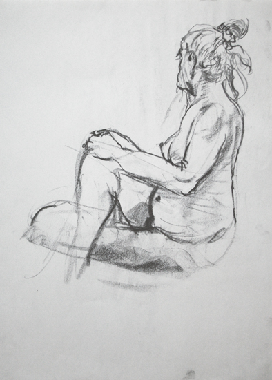 2010 079